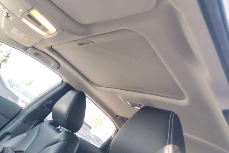 Used Venucia D60 2021 PLUS 1.6L XL CVT Yue Ling Edition Headliner