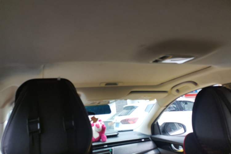 Used Venucia D60 2021 PLUS 1.6L XV CVT Smart Edition Headliner