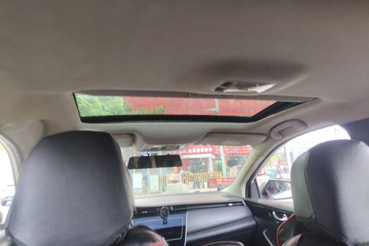 Used Venucia D60 2021 PLUS 1.6L XL CVT Yue Ling Edition Headliner