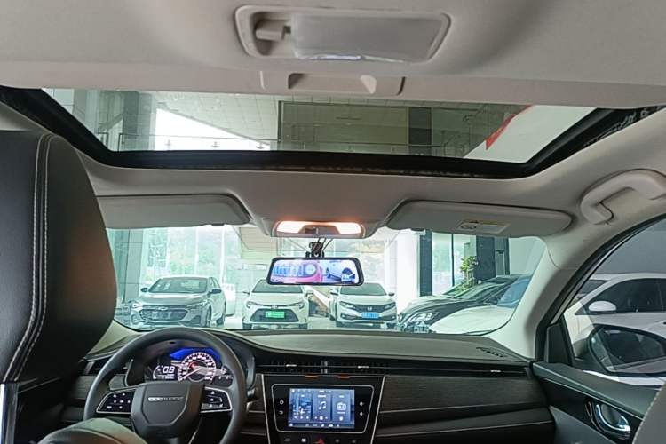 Used Venucia D60 2021 PLUS 1.6L XL CVT Yue Ling Edition Headliner