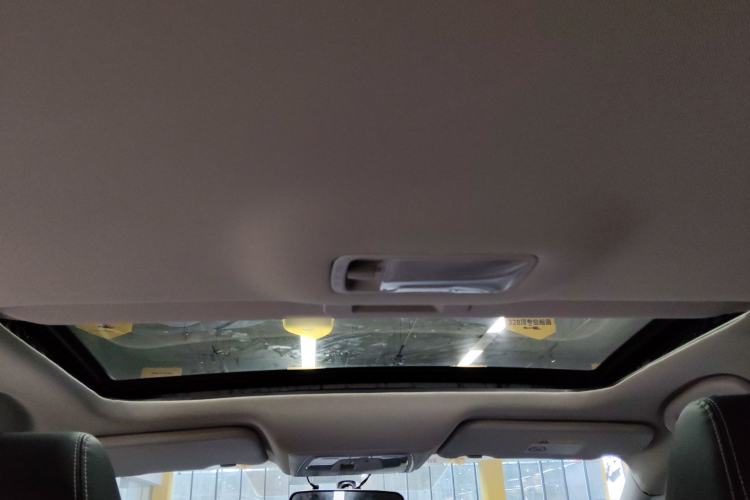 Used Venucia D60 2021 PLUS 1.6L XL CVT Yue Ling Edition Headliner