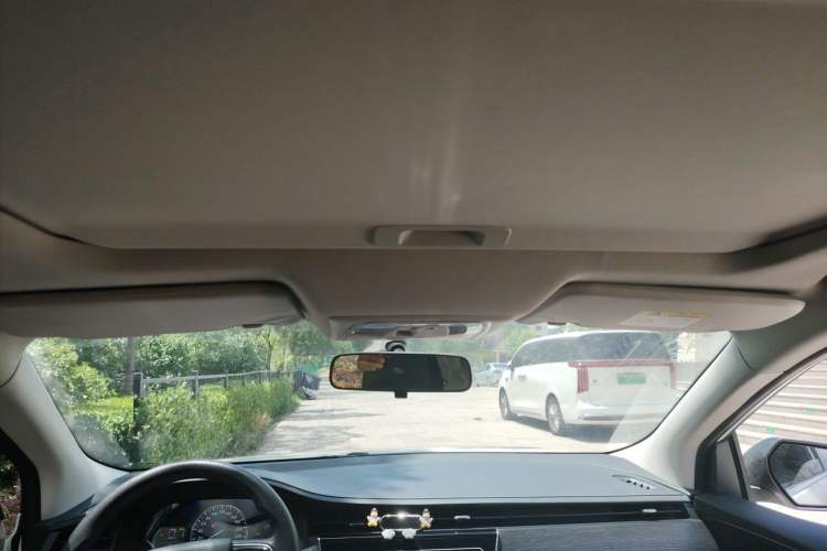 Used Venucia D60 2021 PLUS 1.6L XL CVT Yue Ling Edition Headliner
