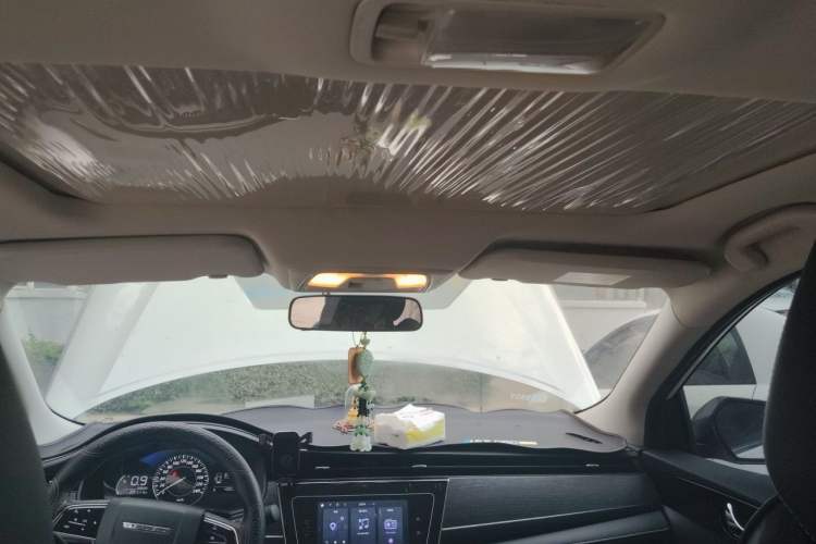 Used Venucia D60 2021 PLUS 1.6L XL CVT Yue Ling Edition Headliner