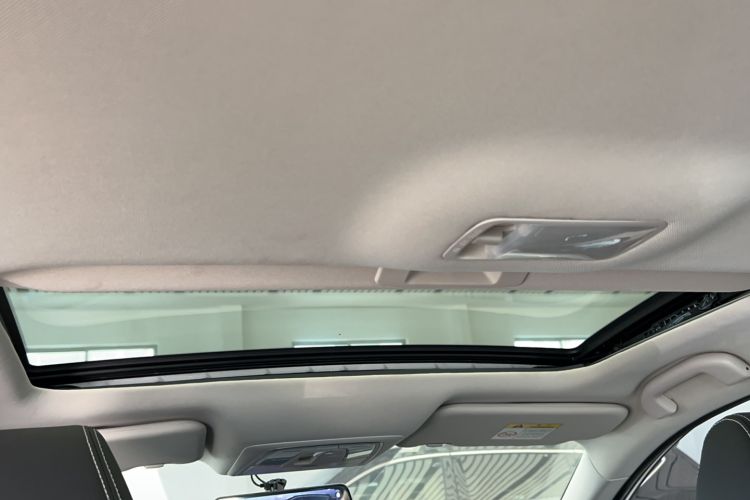 Used Venucia D60 2021 PLUS 1.6L XL CVT Yue Ling Edition Headliner