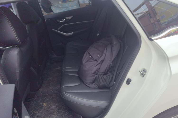 Used Venucia D60 2021 PLUS 1.6L XL CVT Yue Ling Edition Interior 1