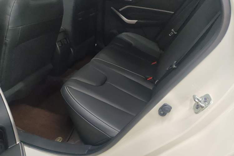 Used Venucia D60 2021 PLUS 1.6L XL CVT Yue Ling Edition Interior 1