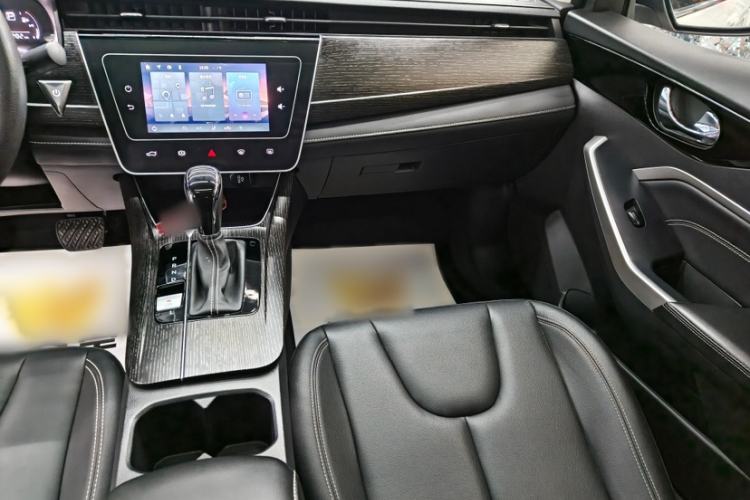Used Venucia D60 2021 PLUS 1.6L XL CVT Yue Ling Edition Interior 2