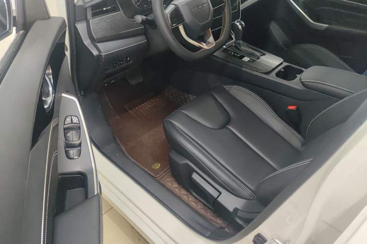 Used Venucia D60 2021 PLUS 1.6L XL CVT Yue Ling Edition Interior 2