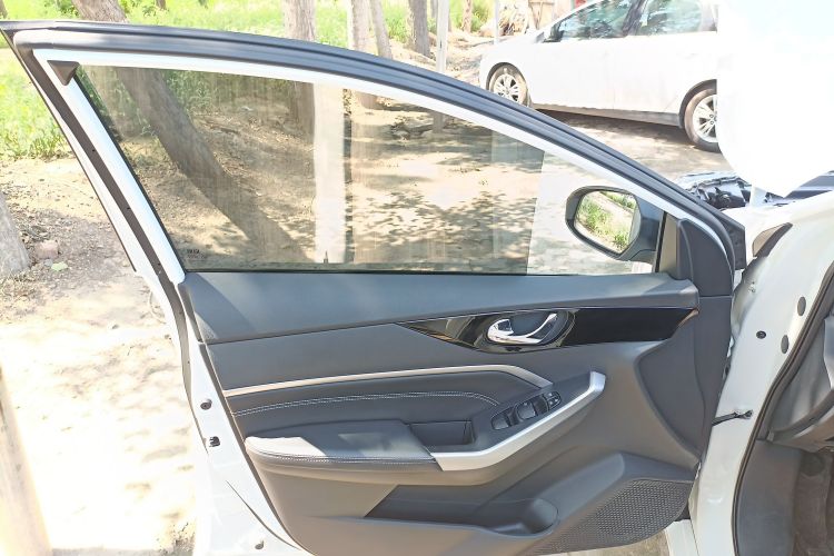 Used Venucia D60 2021 PLUS 1.6L XL CVT Yue Ling Edition Left Front Door Interior