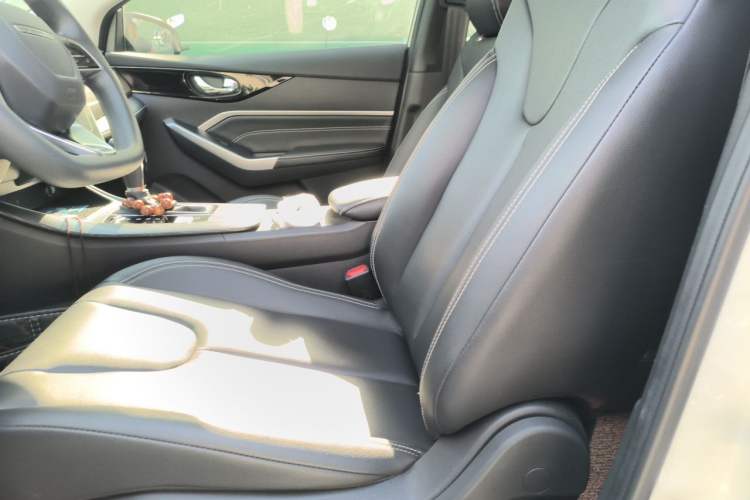 Used Venucia D60 2021 PLUS 1.6L XV CVT Smart Edition Left Front Seat