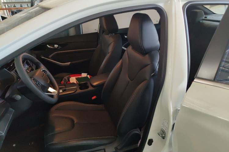 Used Venucia D60 2021 PLUS 1.6L XL CVT Yue Ling Edition Left Front Seat