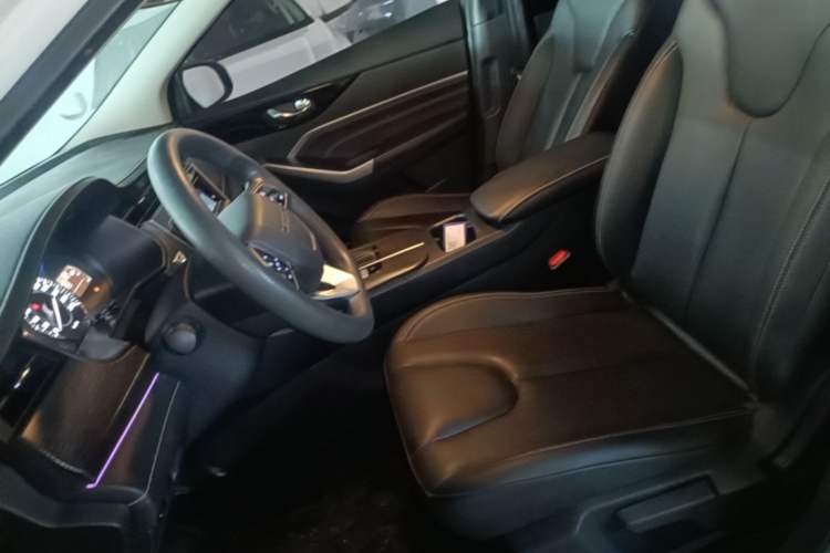 Used Venucia D60 2021 PLUS 1.6L XL CVT Yue Ling Edition Left Front Seat