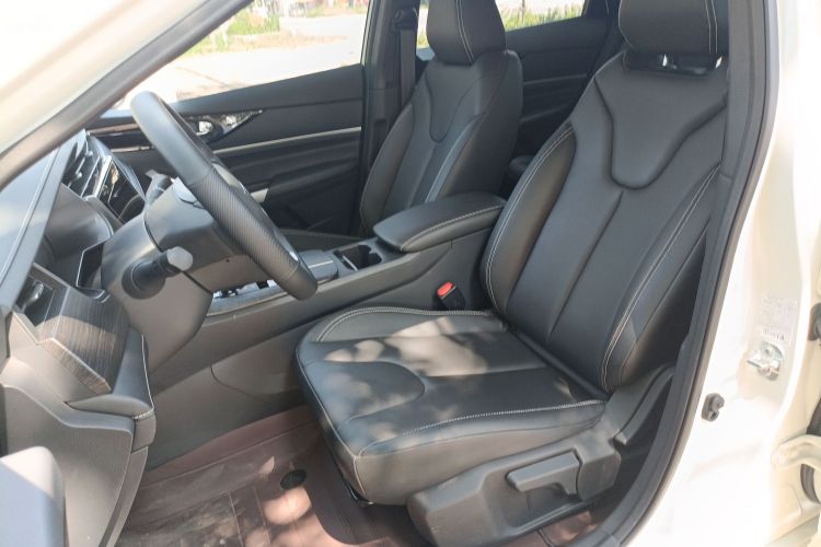 Used Venucia D60 2021 PLUS 1.6L XL CVT Yue Ling Edition Left Front Seat