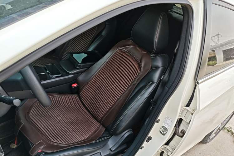 Used Venucia D60 2021 PLUS 1.6L XL CVT Yue Ling Edition Left Front Seat