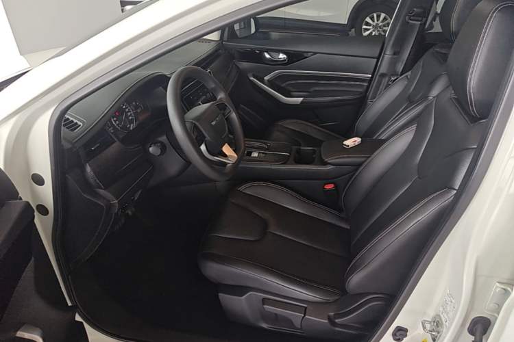 Used Venucia D60 2021 PLUS 1.6L XL CVT Yue Ling Edition Left Front Seat