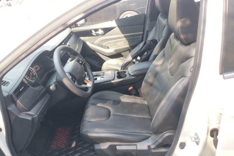 Used Venucia D60 2021 PLUS 1.6L XL CVT Yue Ling Edition Left Front Seat