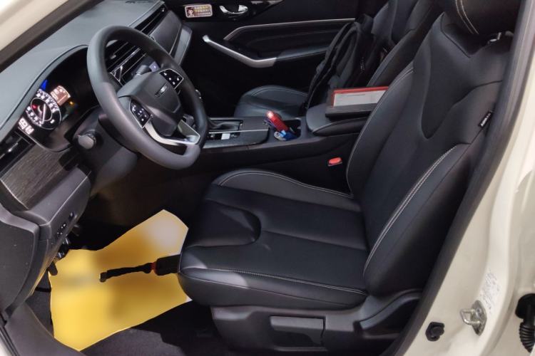 Used Venucia D60 2021 PLUS 1.6L XL CVT Yue Ling Edition Left Front Seat