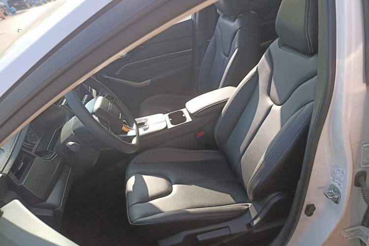 Used Venucia D60 2021 PLUS 1.6L XL CVT Yue Ling Edition Left Front Seat