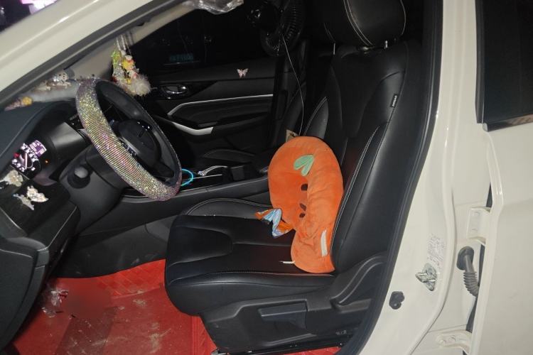 Used Venucia D60 2021 PLUS 1.6L XL CVT Yue Ling Edition Left Front Seat