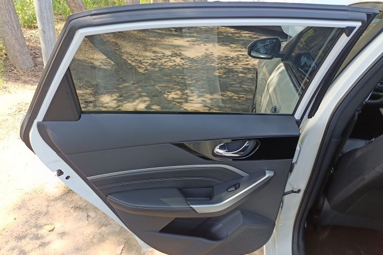 Used Venucia D60 2021 PLUS 1.6L XL CVT Yue Ling Edition Left Rear Door Interior