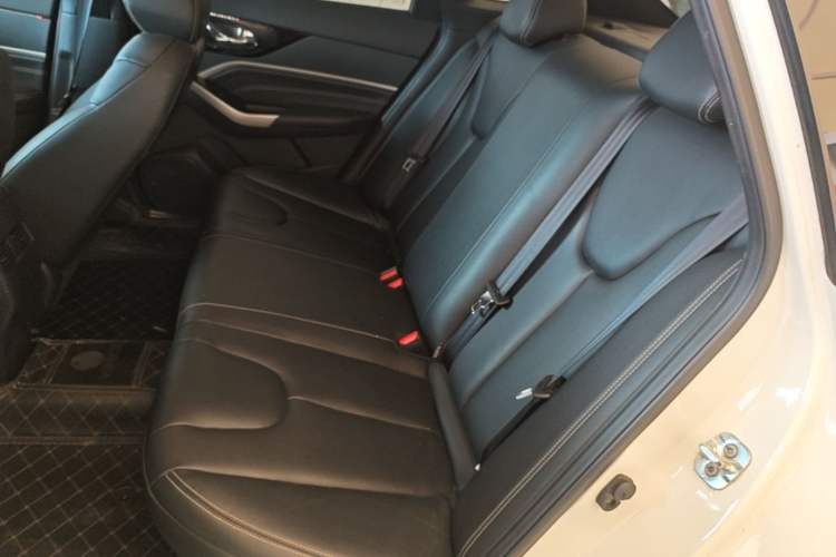 Used Venucia D60 2021 PLUS 1.6L XL CVT Yue Ling Edition Left Rear Seat