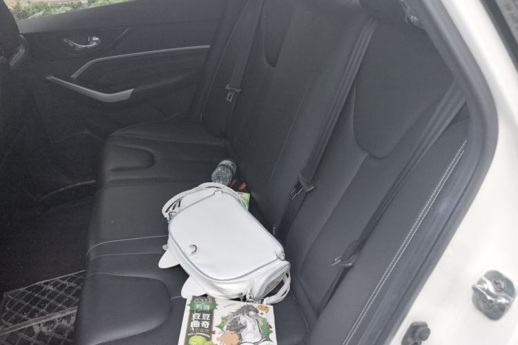 Used Venucia D60 2021 PLUS 1.6L XL CVT Yue Ling Edition Left Rear Seat