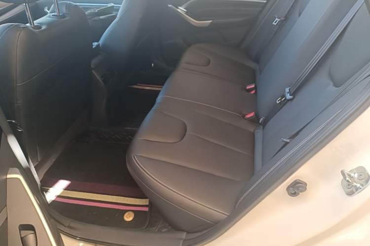 Used Venucia D60 2021 PLUS 1.6L XL CVT Yue Ling Edition Left Rear Seat
