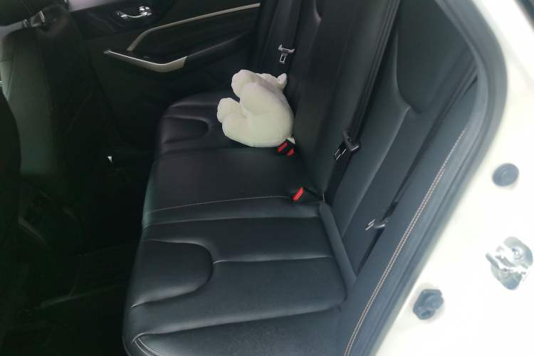 Used Venucia D60 2021 PLUS 1.6L XL CVT Yue Ling Edition Left Rear Seat