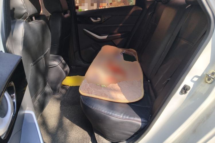 Used Venucia D60 2021 1.6L Entry Manual Comfort Edition Left Rear Seat