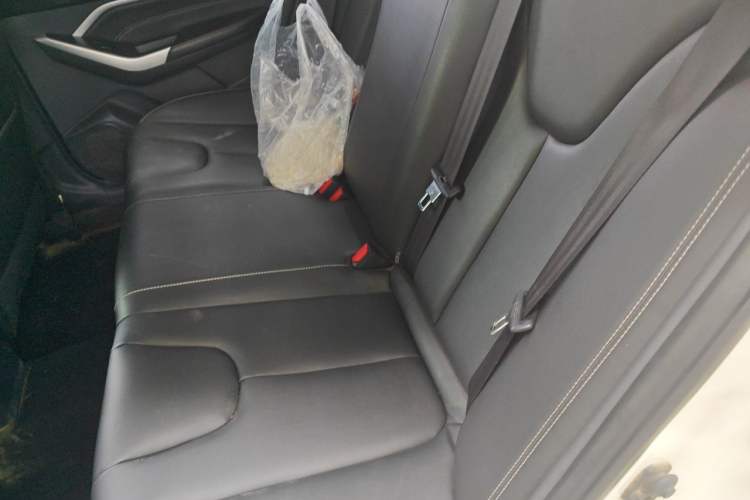Used Venucia D60 2021 PLUS 1.6L XL CVT Yue Ling Edition Left Rear Seat