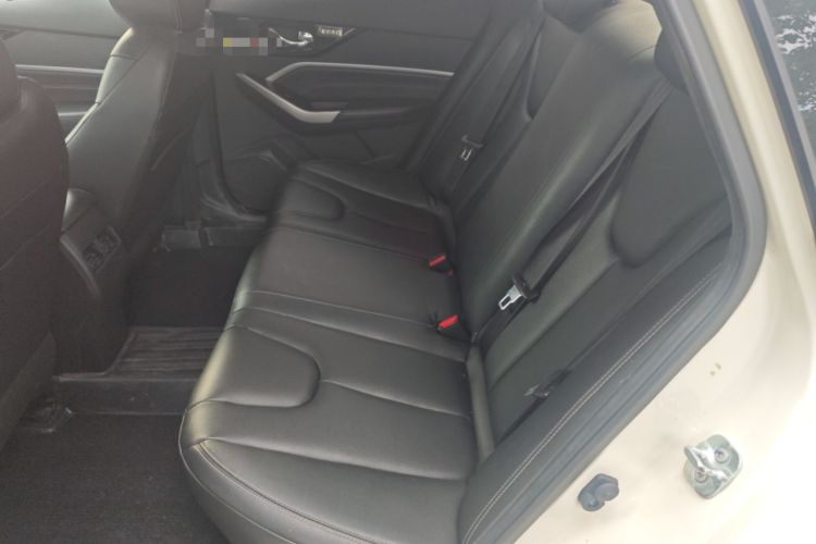 Used Venucia D60 2021 PLUS 1.6L XL CVT Yue Ling Edition Left Rear Seat