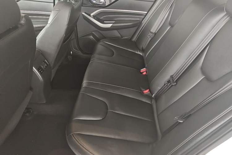 Used Venucia D60 2021 PLUS 1.6L XL CVT Yue Ling Edition Left Rear Seat