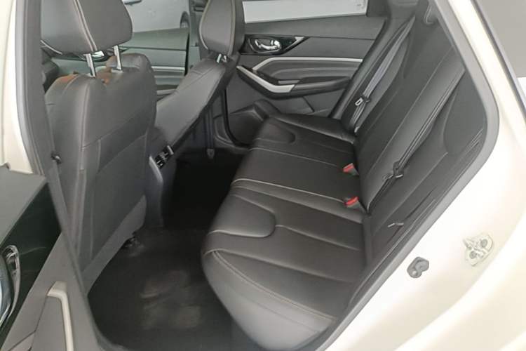 Used Venucia D60 2021 PLUS 1.6L XL CVT Yue Ling Edition Left Rear Seat