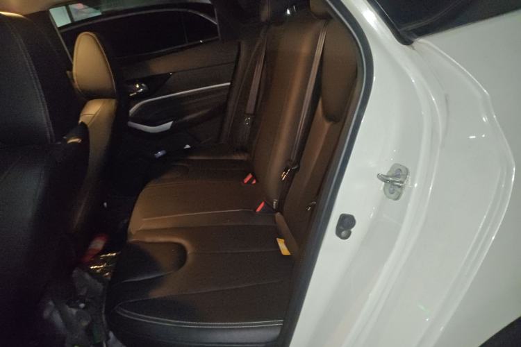 Used Venucia D60 2021 PLUS 1.6L XL CVT Yue Ling Edition Left Rear Seat
