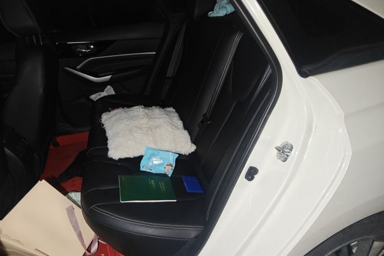 Used Venucia D60 2021 PLUS 1.6L XL CVT Yue Ling Edition Left Rear Seat