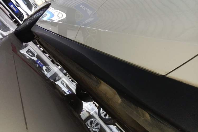 Used Venucia D60 2021 1.6L XE CVT Comfort Edition Left Side Sill