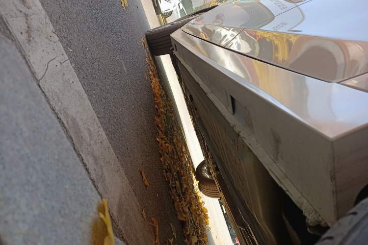 Used Venucia D60 2021 PLUS 1.6L XL CVT Yue Ling Edition Left Side Sill
