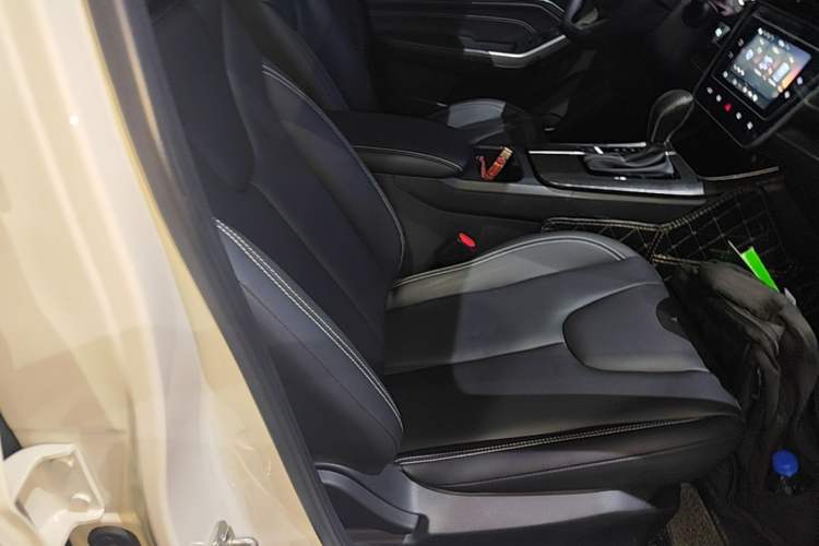 Used Venucia D60 2021 PLUS 1.6L XL CVT Yue Ling Edition Right Front Seat