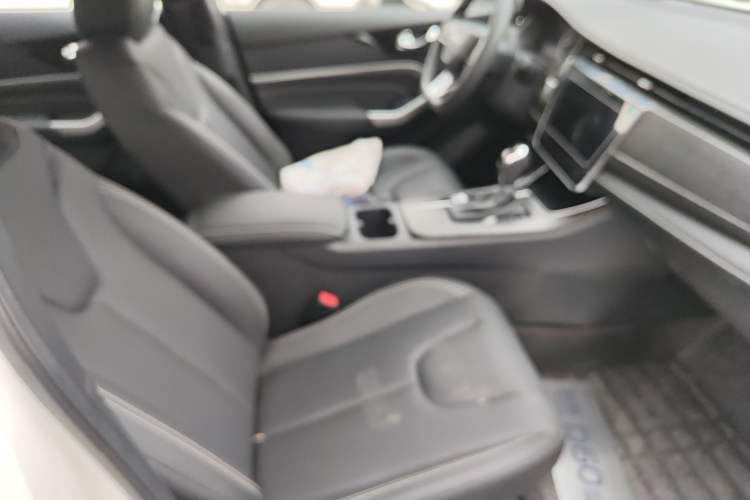 Used Venucia D60 2021 PLUS 1.6L XL CVT Yue Ling Edition Right Front Seat
