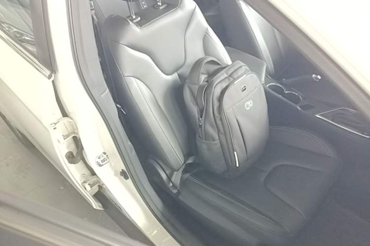 Used Venucia D60 2021 1.6L XE CVT Comfort Edition Right Front Seat
