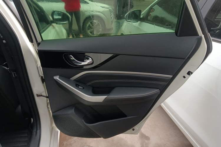 Used Venucia D60 2021 PLUS 1.6L XL CVT Yue Ling Edition Right Rear Door Interior