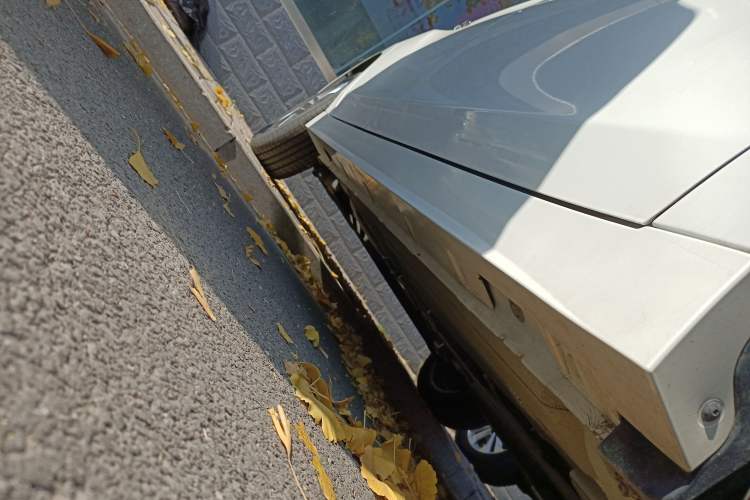 Used Venucia D60 2021 PLUS 1.6L XL CVT Yue Ling Edition Right Side Sill