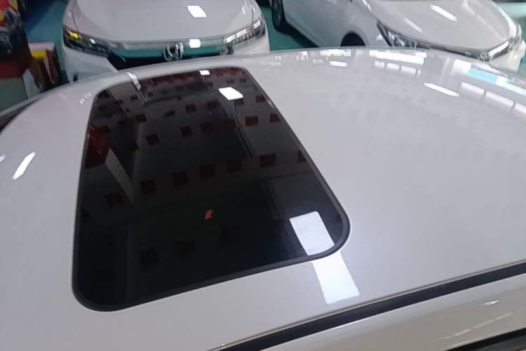 Used Venucia D60 2021 1.6L XE CVT Comfort Edition Roof