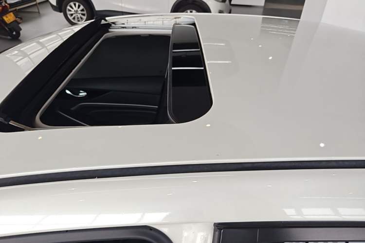 Used Venucia D60 2021 PLUS 1.6L XL CVT Yue Ling Edition Roof