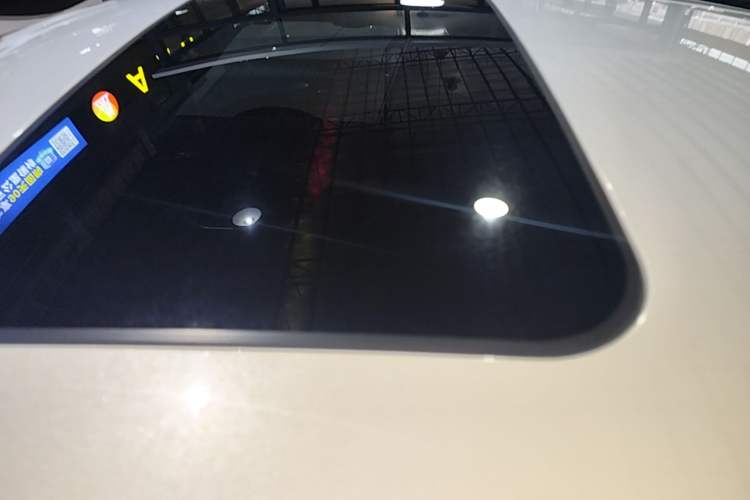 Used Venucia D60 2021 PLUS 1.6L XL CVT Yue Ling Edition Roof
