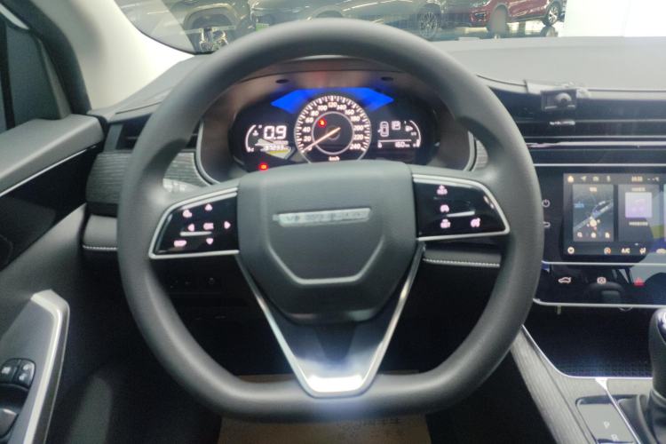 Used Venucia D60 2021 PLUS 1.6L XL CVT Yue Ling Edition Steering Wheel