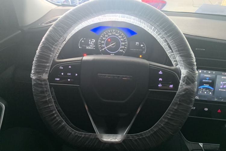 Used Venucia D60 2021 PLUS 1.6L XL CVT Yue Ling Edition Steering Wheel