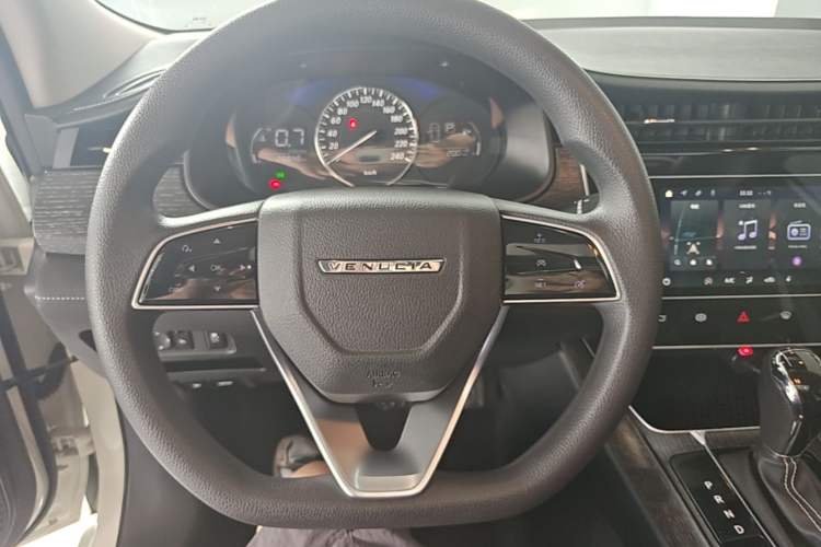Used Venucia D60 2021 PLUS 1.6L XL CVT Yue Ling Edition Steering Wheel