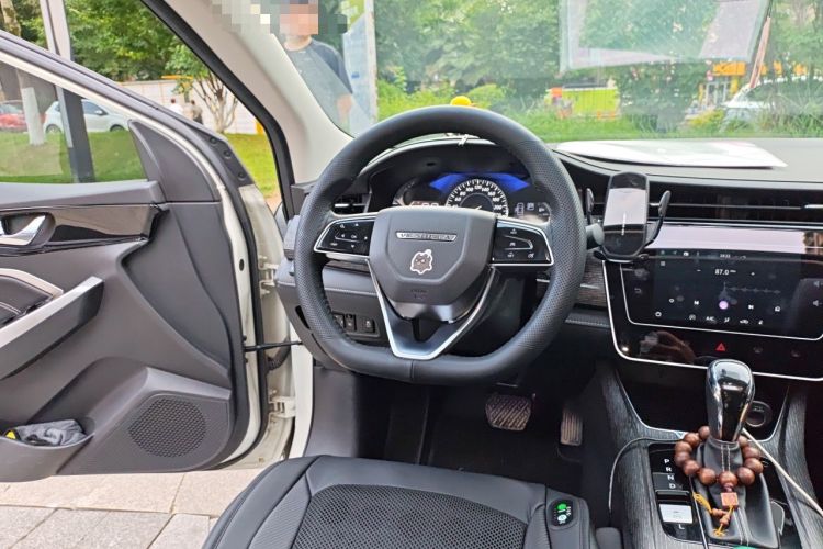 Used Venucia D60 2021 PLUS 1.6L XL CVT Yue Ling Edition Steering Wheel