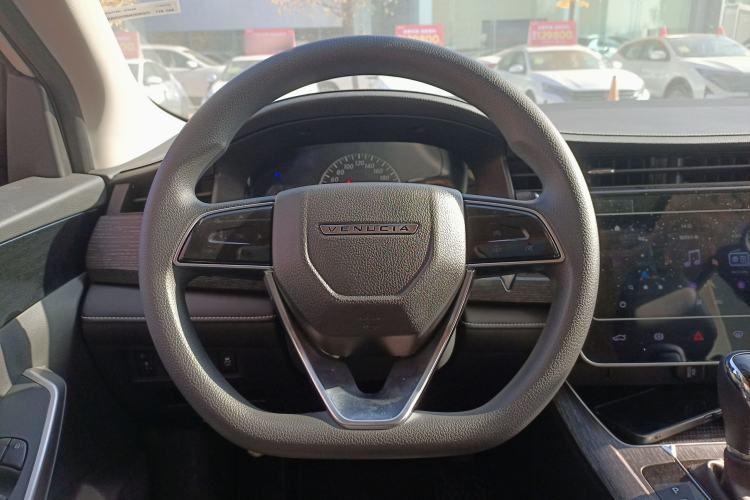 Used Venucia D60 2021 PLUS 1.6L XL CVT Yue Ling Edition Steering Wheel
